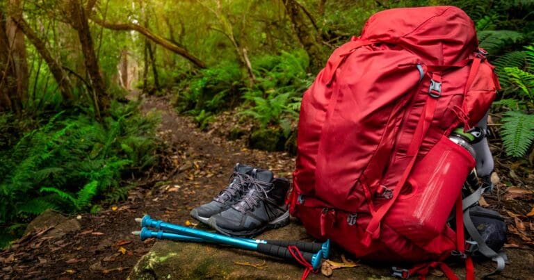 Have you packed enough