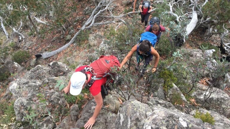 Hiking in a group: benefits, tips and safety