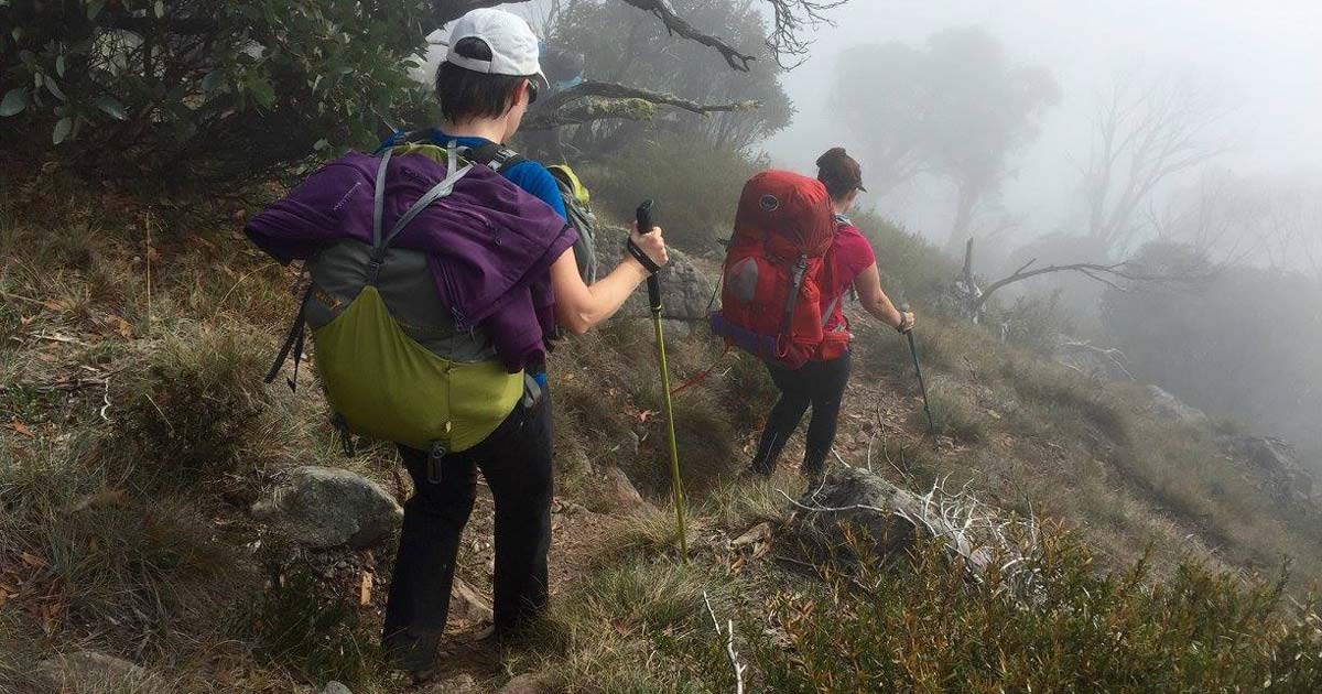 Using hiking poles effectively for ascents and descents Hiking poles for the downhill descent