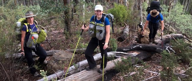 Helinox TL Series Hiking Poles Review Trail-hiking-helinox-tl-series--(1)