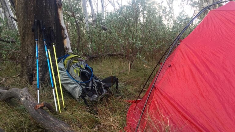 Helinox fl135 hiking poles review