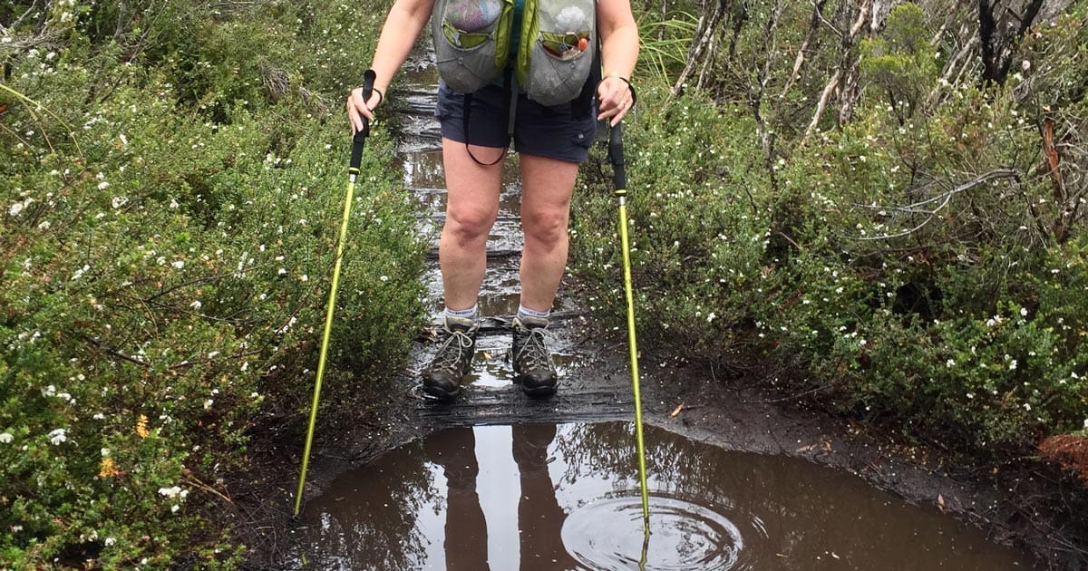 Overland track day 5