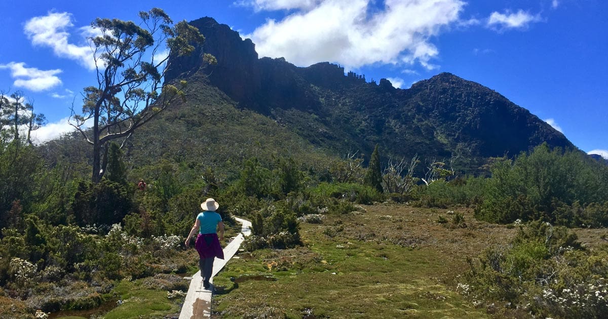 Overland track day 6