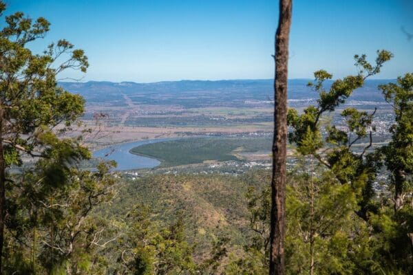 Gudda Gumoo Walk (4km) Zamia walk 600x400