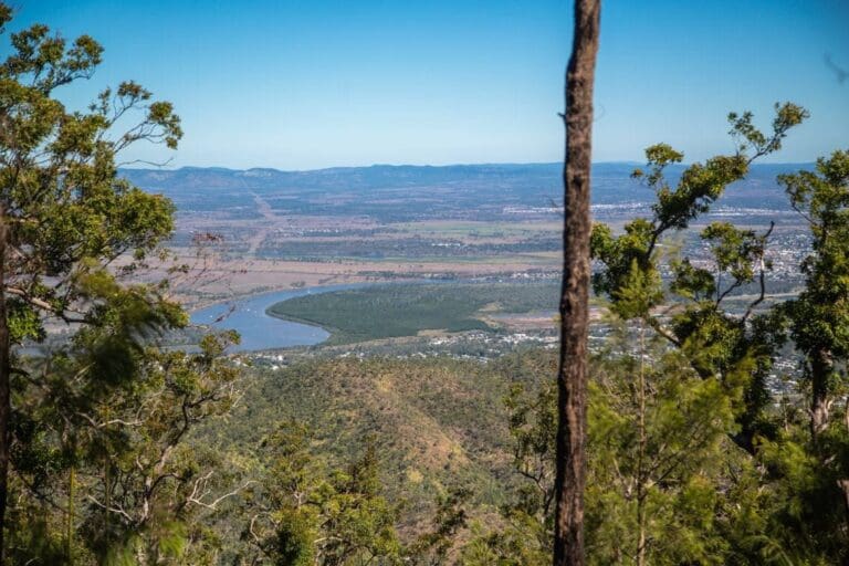 Zamia Walk (14km) Zamia walk 768x512