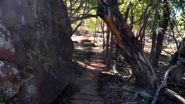 Mount grenfell art site walk (3km)