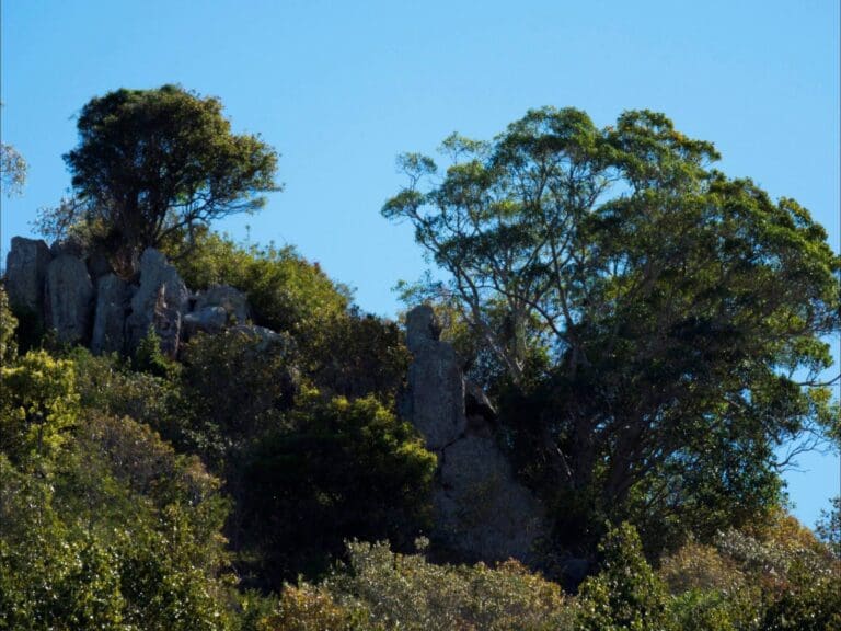 Goolman Lookout Trail (5.6km) Goolman lookout trail 768x576