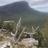 Leave no trace when bushwalking