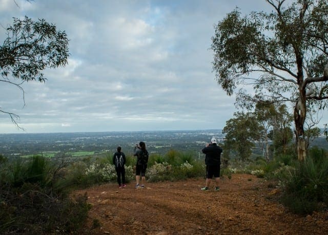 Lions Lookout Walk (4km) Lions lookout