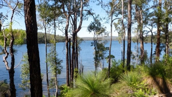 Bibbulmun Wellington Spur Trail Walk (19km) Bibbulmun wellington spur trail walk (19km)