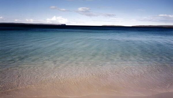 Hyams Beach Trail Walk (2km) Hyams beach trail walk (2km)