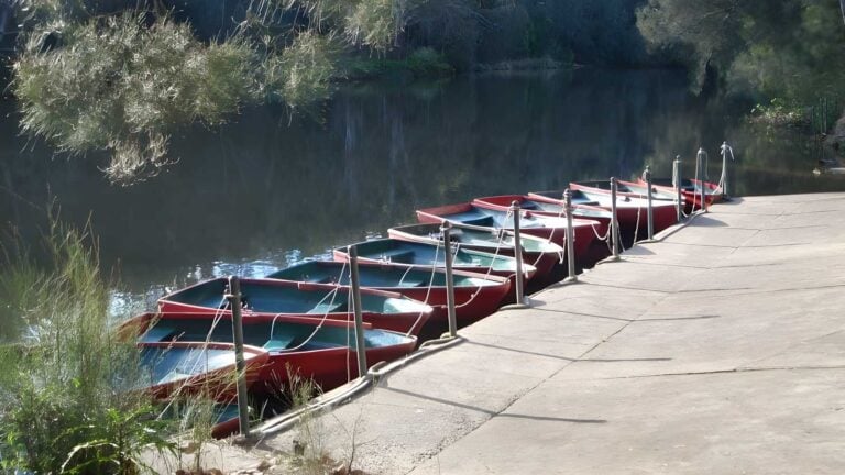 Lane cove tourist park to boat shed walk (3. 4km)