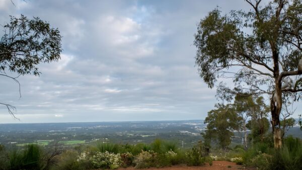 Lions lookout walk (4km)