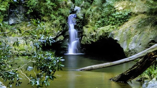Potaroo Falls Walk (900m) Potaroo falls walk (900m)