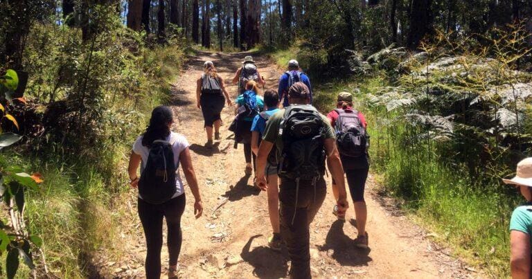 Be a better hiker with these six tips