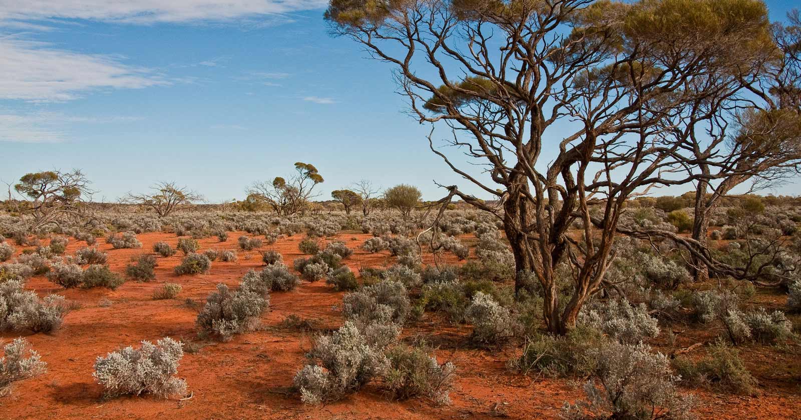 Camping in the australian desert