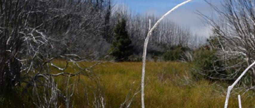 Lake Mountain to Keppel Hut - Overnight hiking with kids Lake mountain to keppel hut - overnight hiking with kids