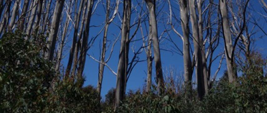 Lake Mountain to Keppel Hut - Overnight hiking with kids Lake mountain to keppel hut - overnight hiking with kids