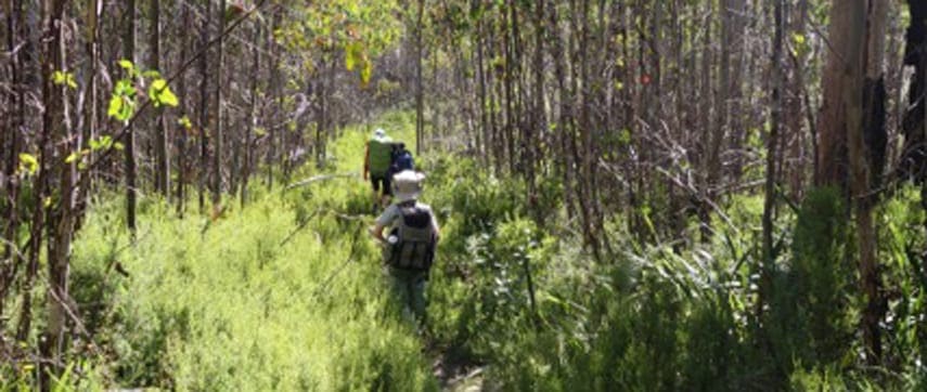 Lake Mountain to Keppel Hut - Overnight hiking with kids Lake mountain to keppel hut - overnight hiking with kids