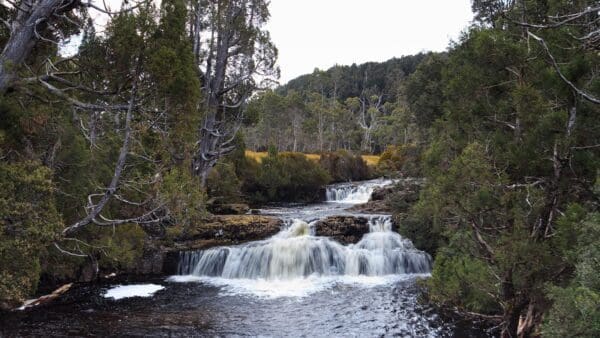 The Fourways Hike (12km) Pencil pine cascades 600x338