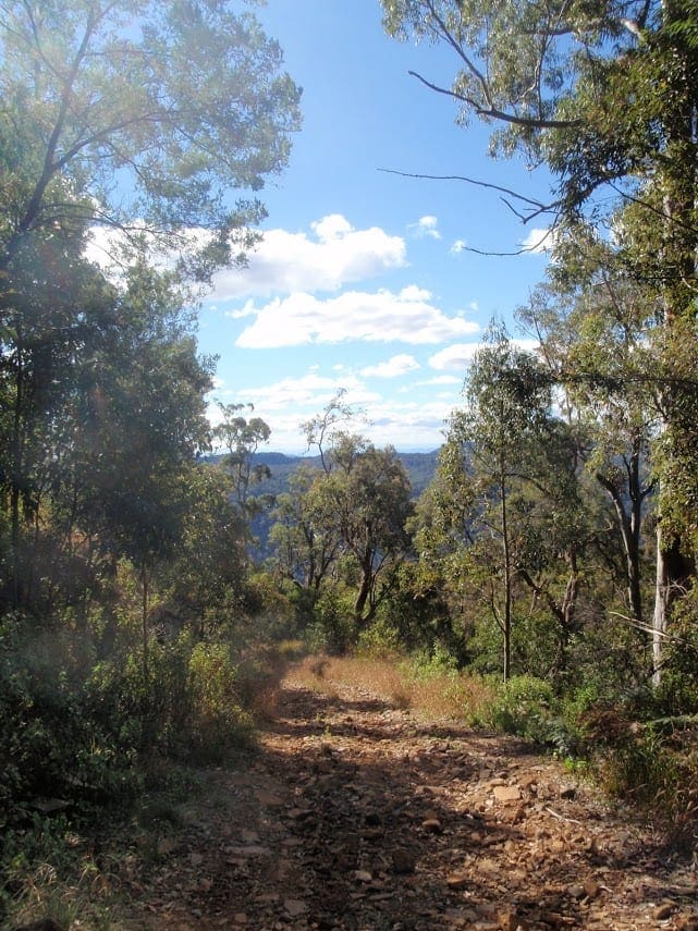 Yarramalong to Watagan Creek - Basin Campsite Hike (33.7km) Yarramalong to watagan creek via basin campsite 1