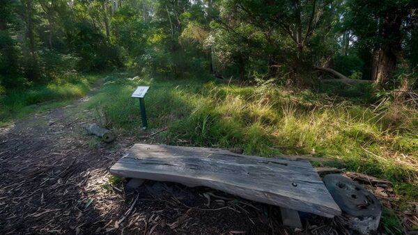 Browns forest loop trail walk (1. 3km)