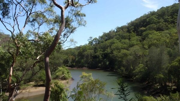 Davidson park to st ives chase hike (14. 1km)
