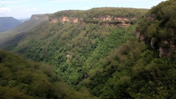 East rim & wildflower walking tracks hike (6. 7km)