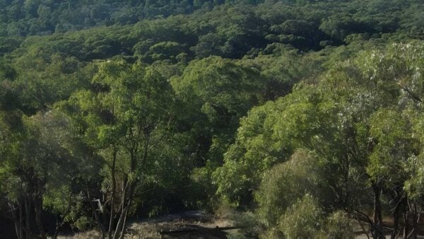 Jacksons lookout & breakneck gorge hike (11. 6km)
