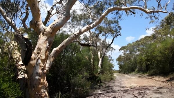 Salvation Loop Trail Walk (4km) Salvation loop trail walk (4km)