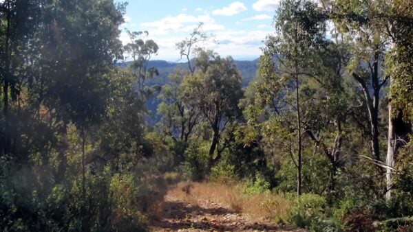 Yarramalong to Watagan Creek - Basin Campsite Hike (33.7km) Yarramalong to watagan creek - basin campsite hike (33. 7km)