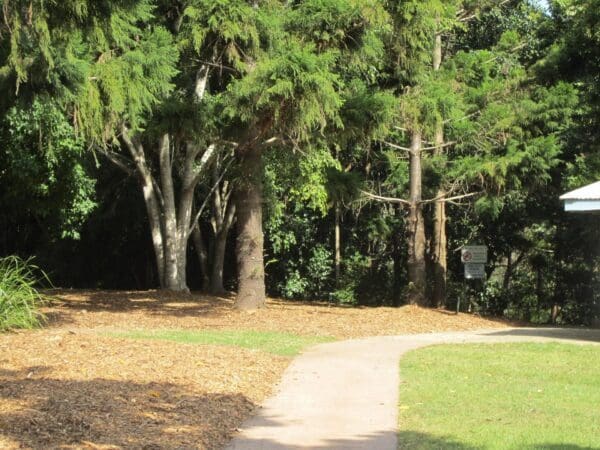 Hikes Carole green walkway john oxley reserve 600x450