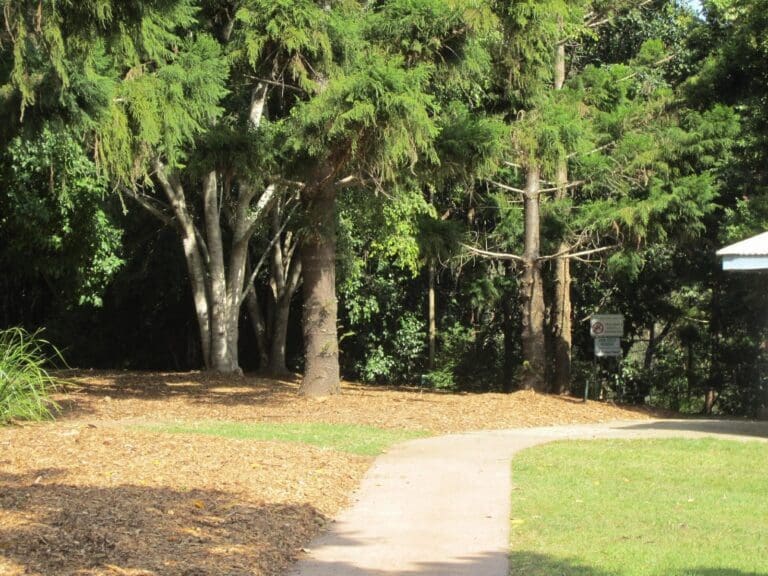 Carole Green Walkway - John Oxley Reserve Walk (1.3km) Carole green walkway john oxley reserve 768x576