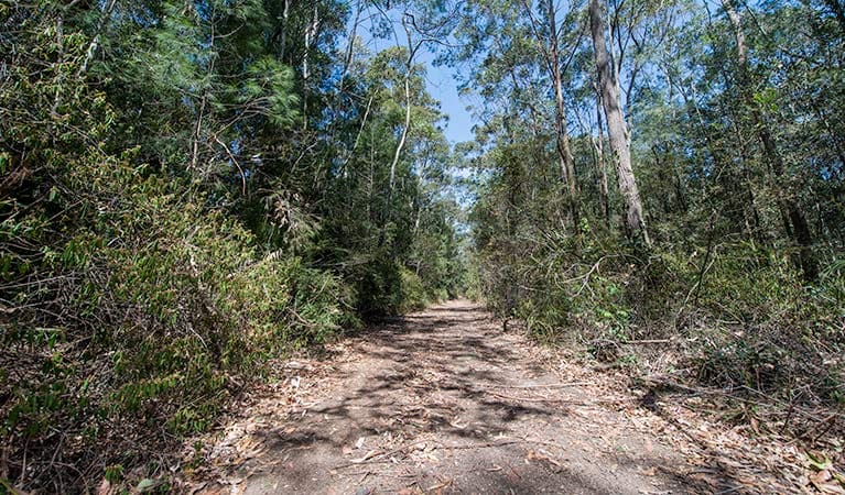 Turners Walking Track (1km) Turners walking track trail hiking australia