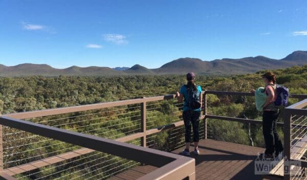 Hikes Wangara lookout hike 600x352