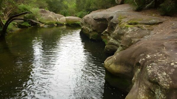 Blue Gum Walk (4.2km) Blue gum walk (4. 2km)