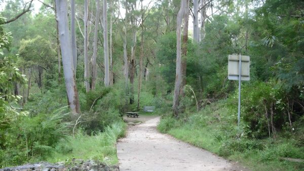 Browns Waterhole Track (1.3km) Browns waterhole track (1. 3km)