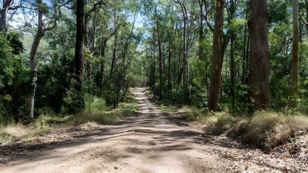 Double Wharf to Whoota Lookout Cycle Loop Hike (13km) Double wharf to whoota lookout cycle loop hike (13km)