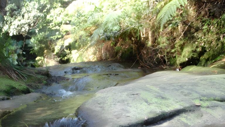 Lillian's Glen Walk (1.6km) Lillian's glen walk (1. 6km)