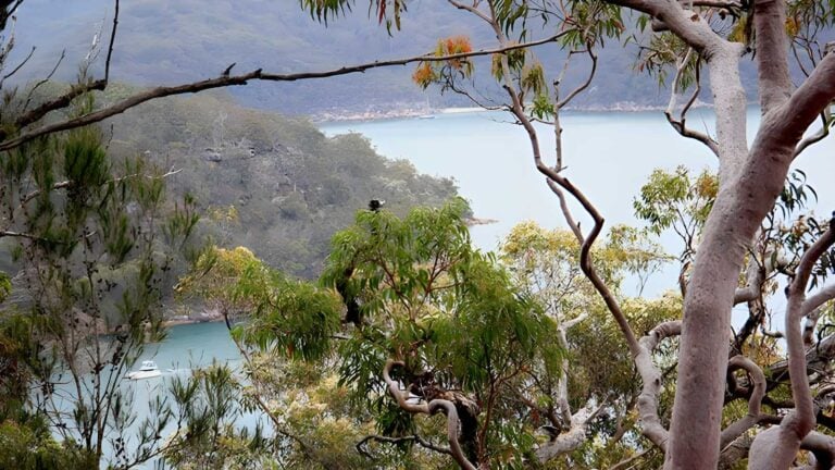 Topham Walking Track (3.7km) Topham walking track (3. 7km)