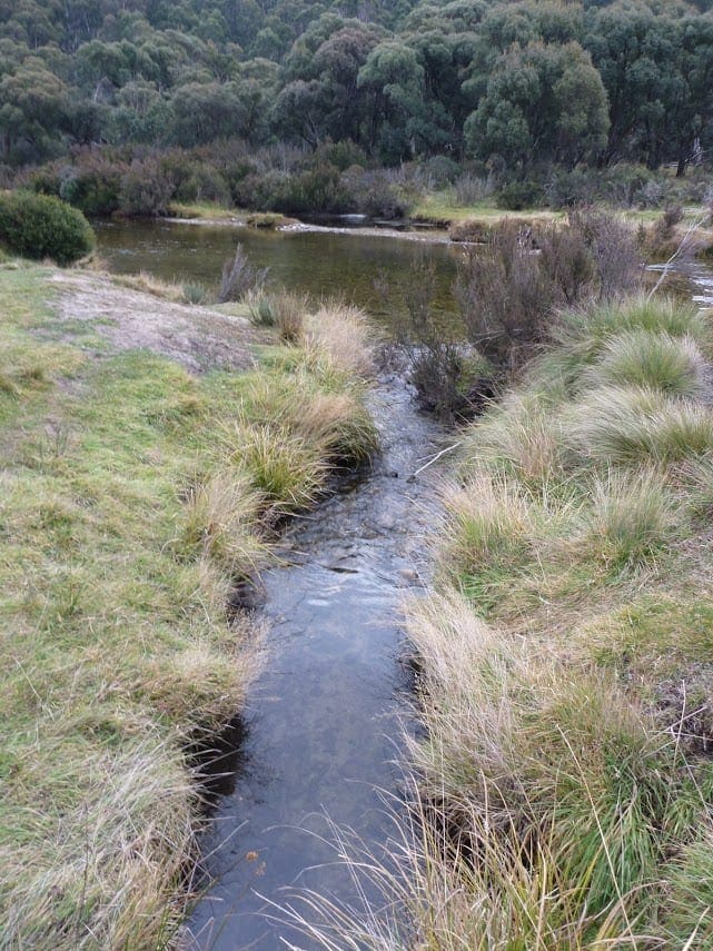 Bullock's Track - Muzzlewood Flat Walk (4.5km) Bullocks track via muzzlewood flat