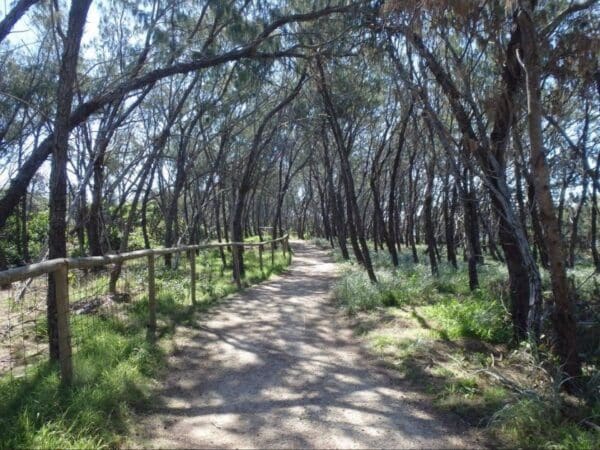 Hikes Federation walk 600x450