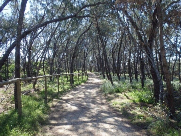 Federation Walk (7km) Federation walk 768x576