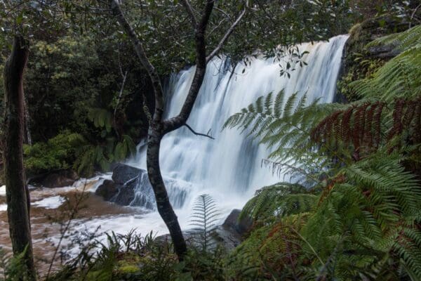 Railton to Sheffield Rail Trail (12km) Forth falls 600x400