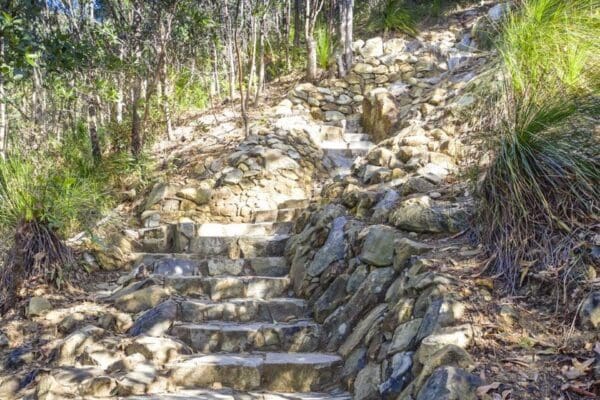 Hikes Mount coolum summit track 600x400