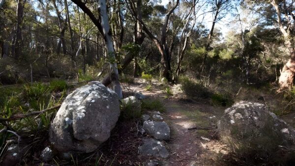 Tuross Falls Walking Track (4km) Tuross falls walking track (4km)