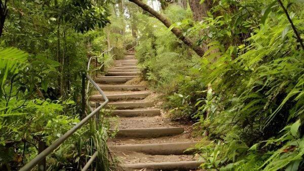 West Rim Walking Track (3.5km) West rim walking track (3. 5km)