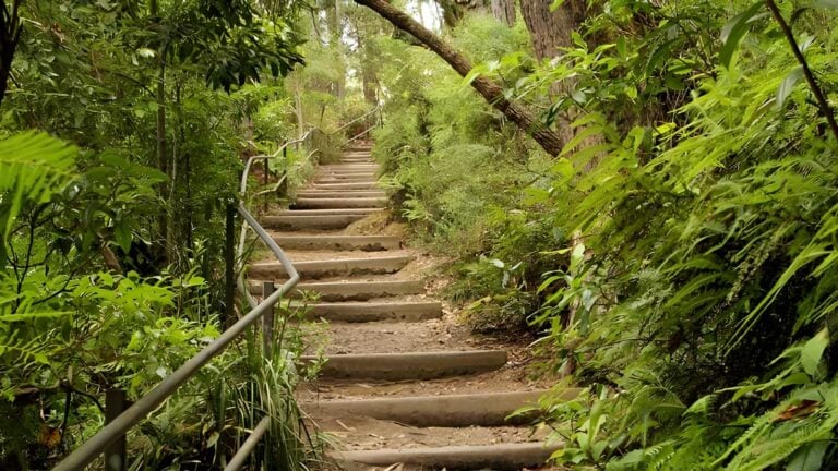 West Rim Walking Track (3.5km) West rim walking track (3. 5km)