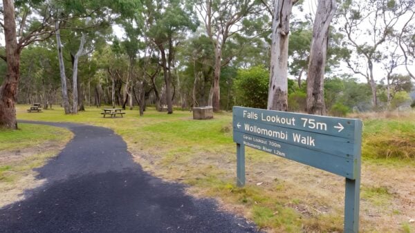 Wollomombi Walking Track (4km) Wollomombi walking track (4km)