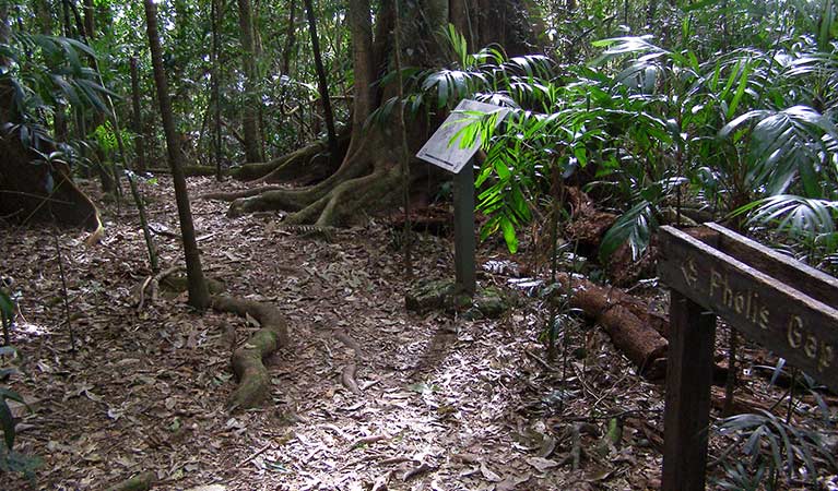 Pholis Gap Walking Track (4km) Pholis gap walking track trail hiking australia